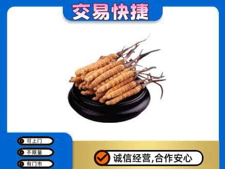 桂林市礼品回收散虫草.jpg